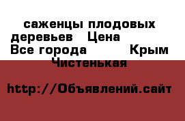 саженцы плодовых деревьев › Цена ­ 6 080 - Все города  »    . Крым,Чистенькая